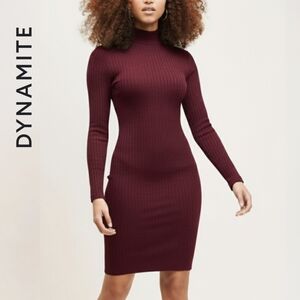 NEW Sz S Dynamite Burgundy Ribbed Knit Bodycon Turtleneck Longsleeve Dress
